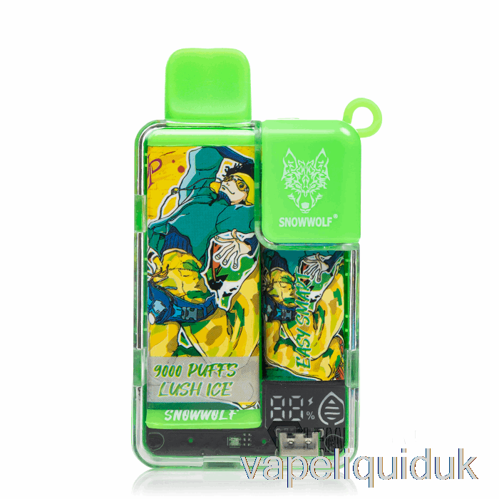 Snowwolf Easy Smart EA9000 Disposable Lush Ice Vape Juice